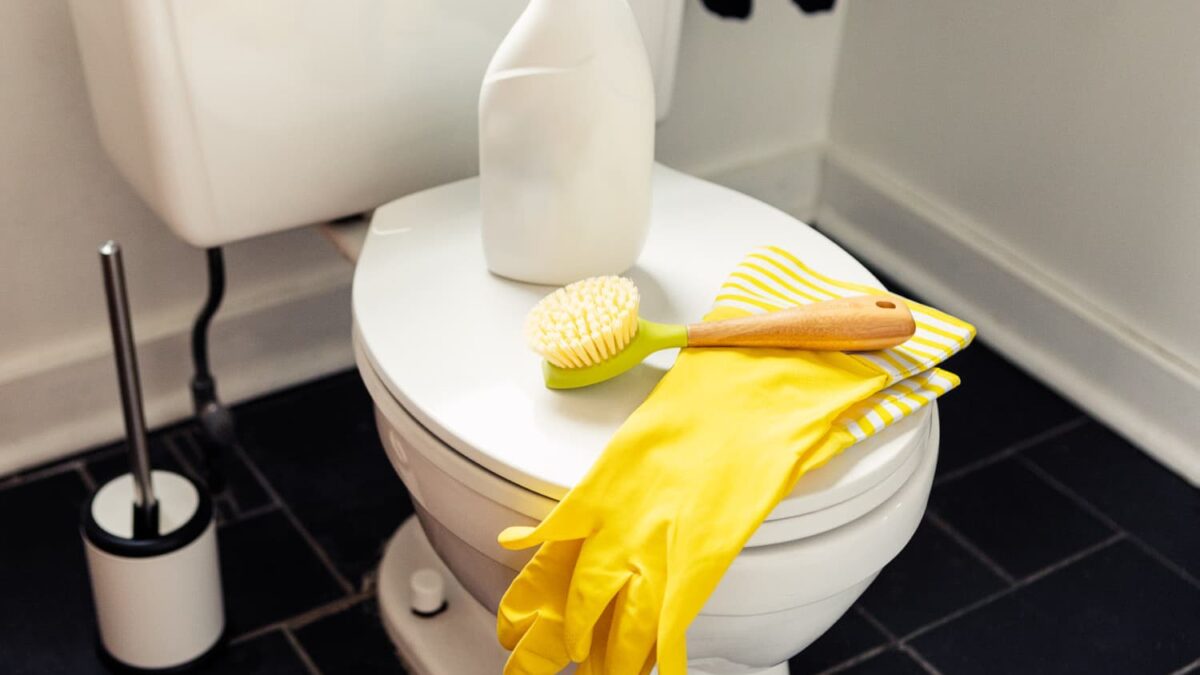 نظافت توالت فرنگی