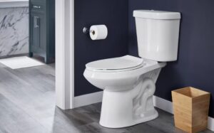 توالت-فرنگی