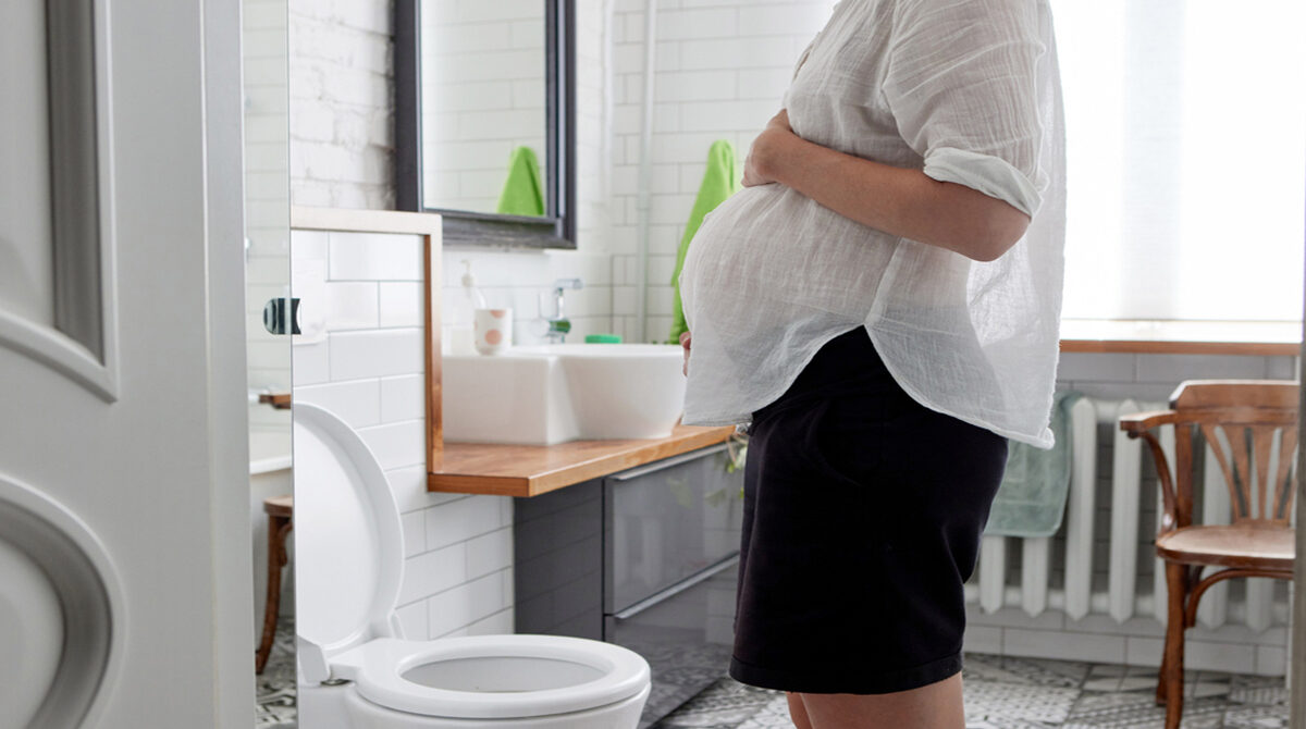 ضرورت استفاده از توالت فرنگی در بارداری