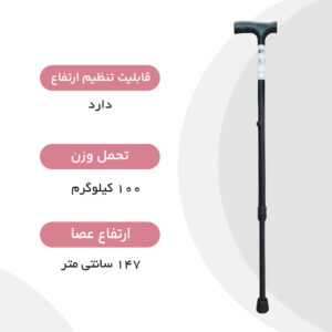 عصا لردی سرو پیکر توس