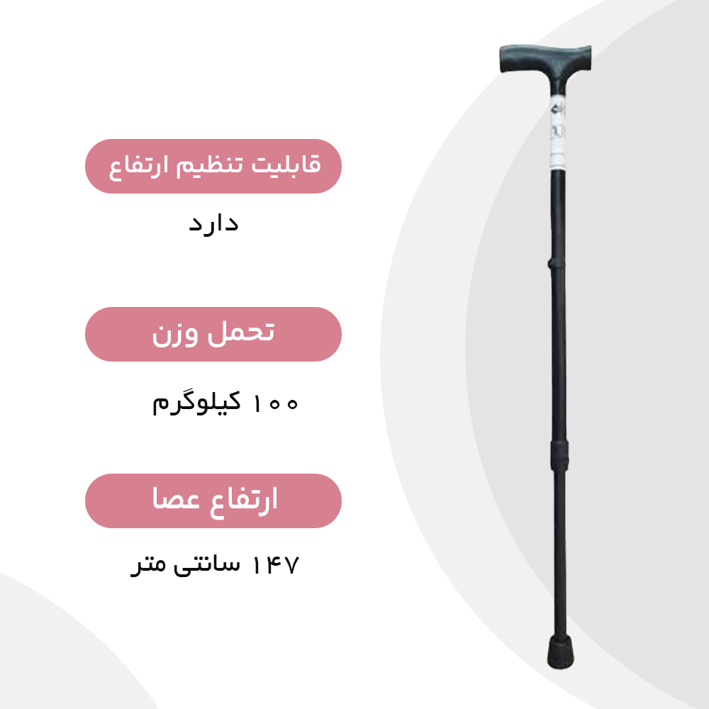 عصا لردی سرو پیکر توس