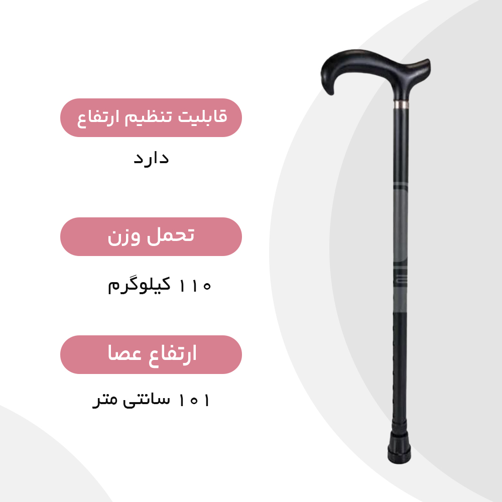 عصا لردی جی تی اس